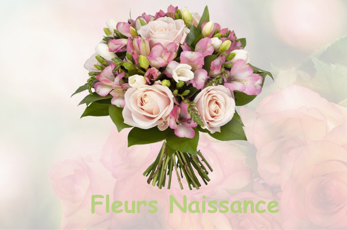 fleurs naissance AMBEL