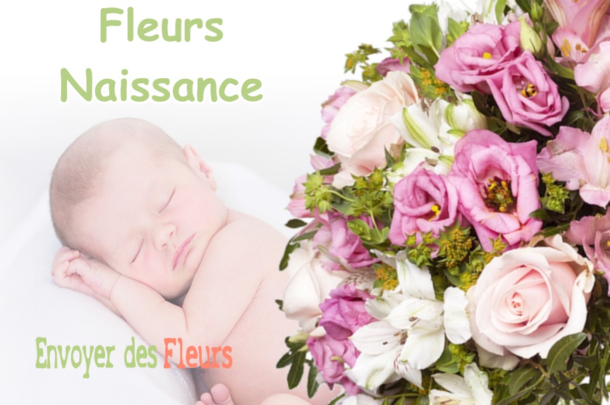 lIVRAISON FLEURS NAISSANCE à AMBEL